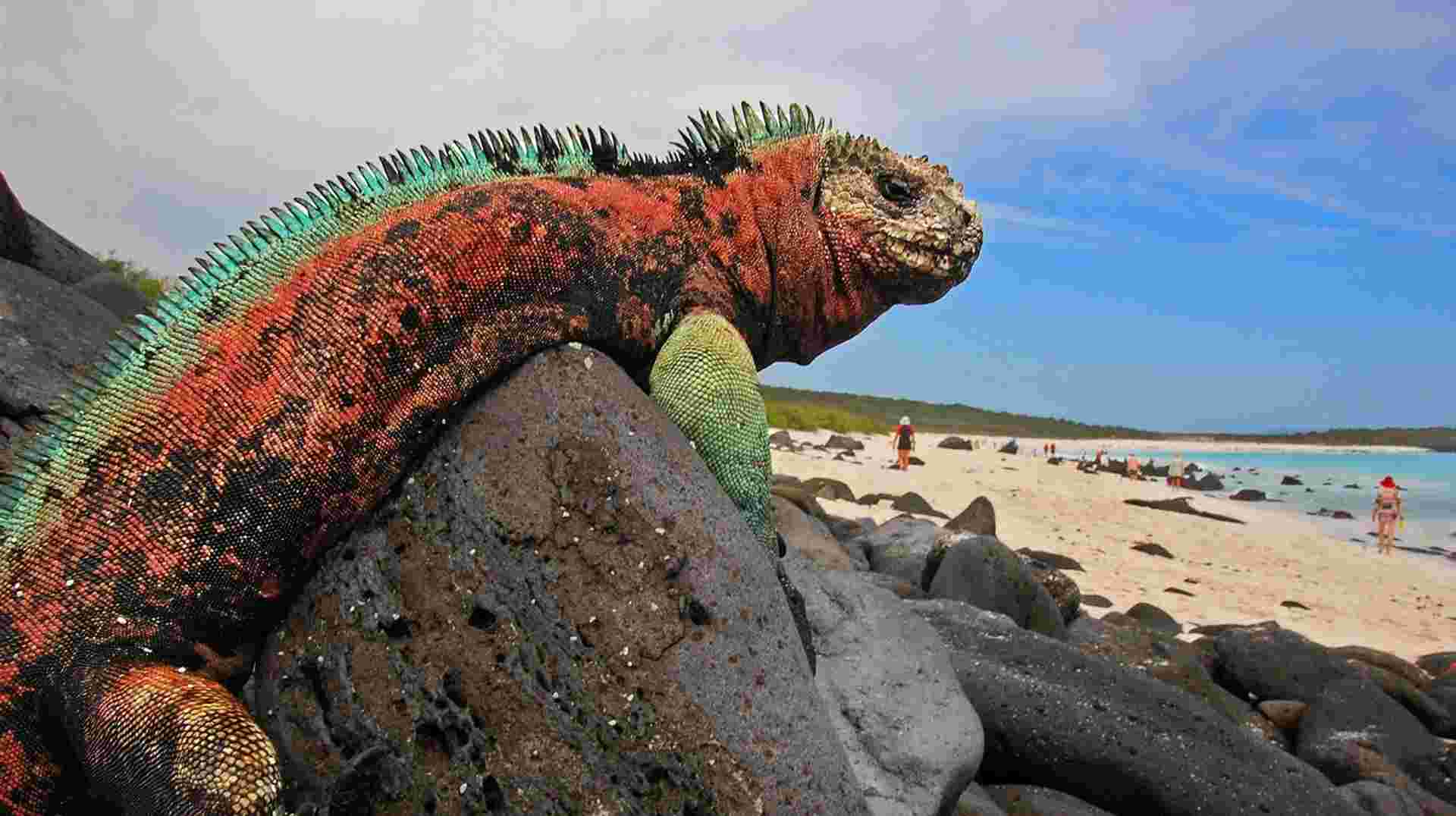 10 Days Galapagos Island Hopping in Santa Cruz Isabela