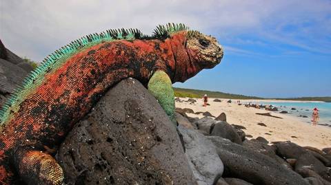 10 Days Galapagos Island Hopping In Santa Cruz Isabela - March 2026