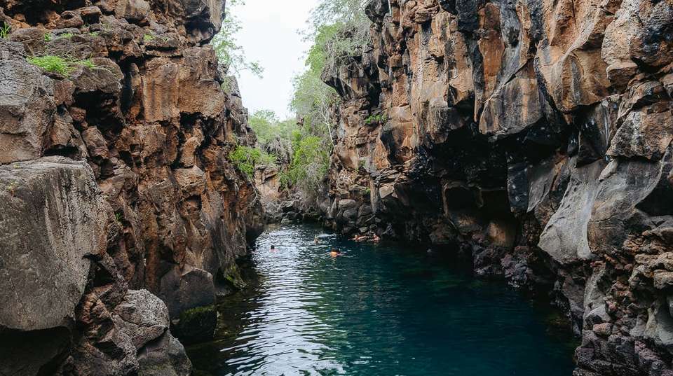 10 Days Galapagos Island Hopping in Santa Cruz Isabela - Responsible Travel South America - Ecuador - Image 2