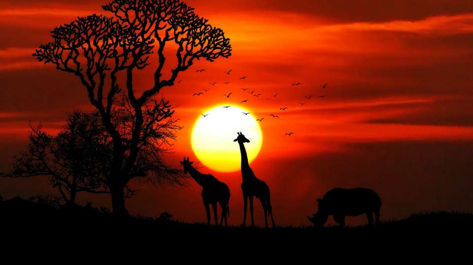 10 DAYS KENYA BUSH AND BEACH SAFARI - Sir Michaels Tours And Safaris - Kenya - Image 3