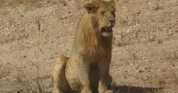 Image 2 of 7