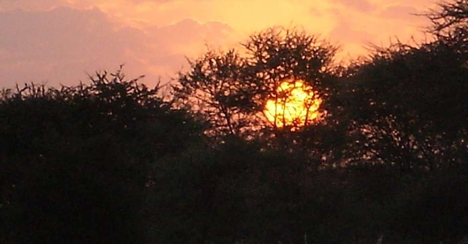 10 Days Wildlife and Masai Experience Safari Package - Nature Responsible Safari Company Ltd - Tanzania - Image 5