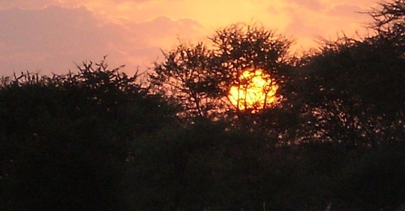 Image 5 of 7