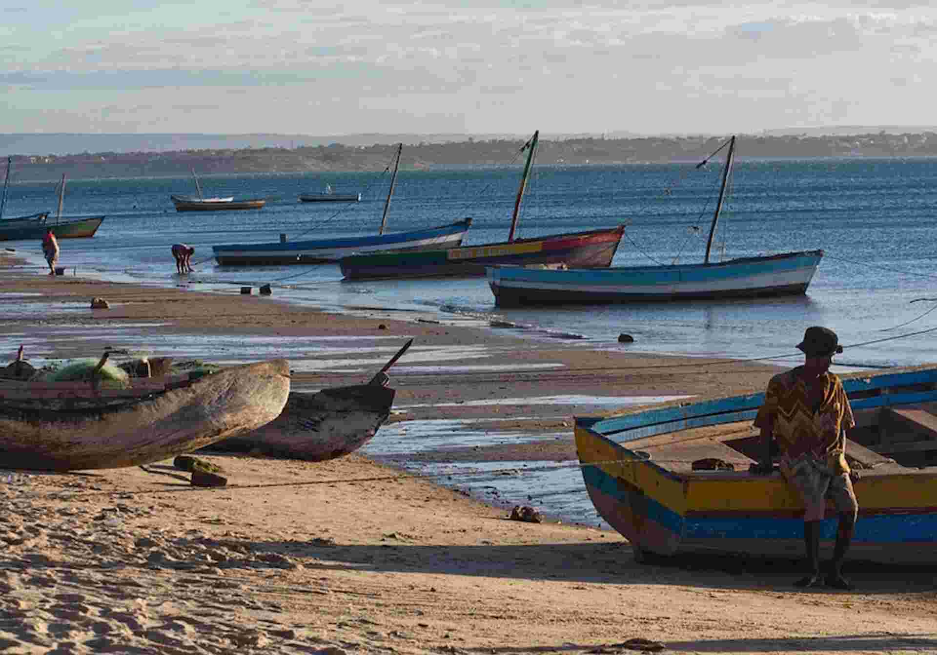1000 Views of Madagascar