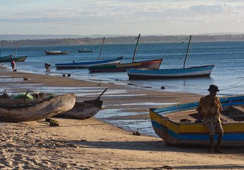 1000 Views Of Madagascar - November 2025
