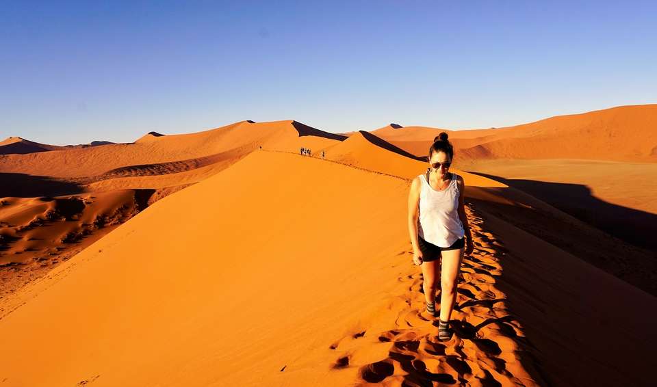 11-day Cape Town to Namibia Camping - Acacia Africa - South Africa - Image 5