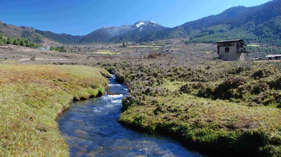 11 Day Druk Path Trek - Unique Adventure International Pvt Ltd - Bhutan - Image 4