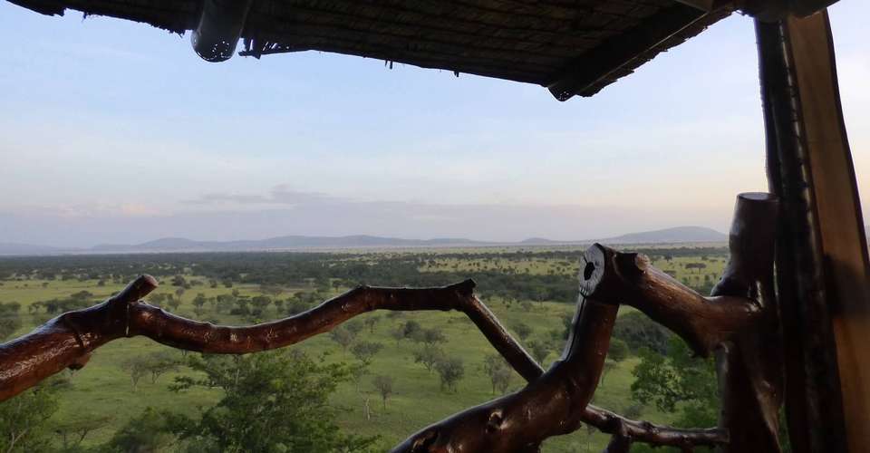 11 Days Complete Tanzania Safari Package Mwanza to Arusha - East African Safari And Touring Company - Tanzania - Image 3
