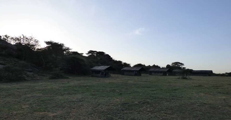 11 Days Complete Tanzania Safari Package Mwanza to Arusha - East African Safari And Touring Company - Tanzania - Image 4