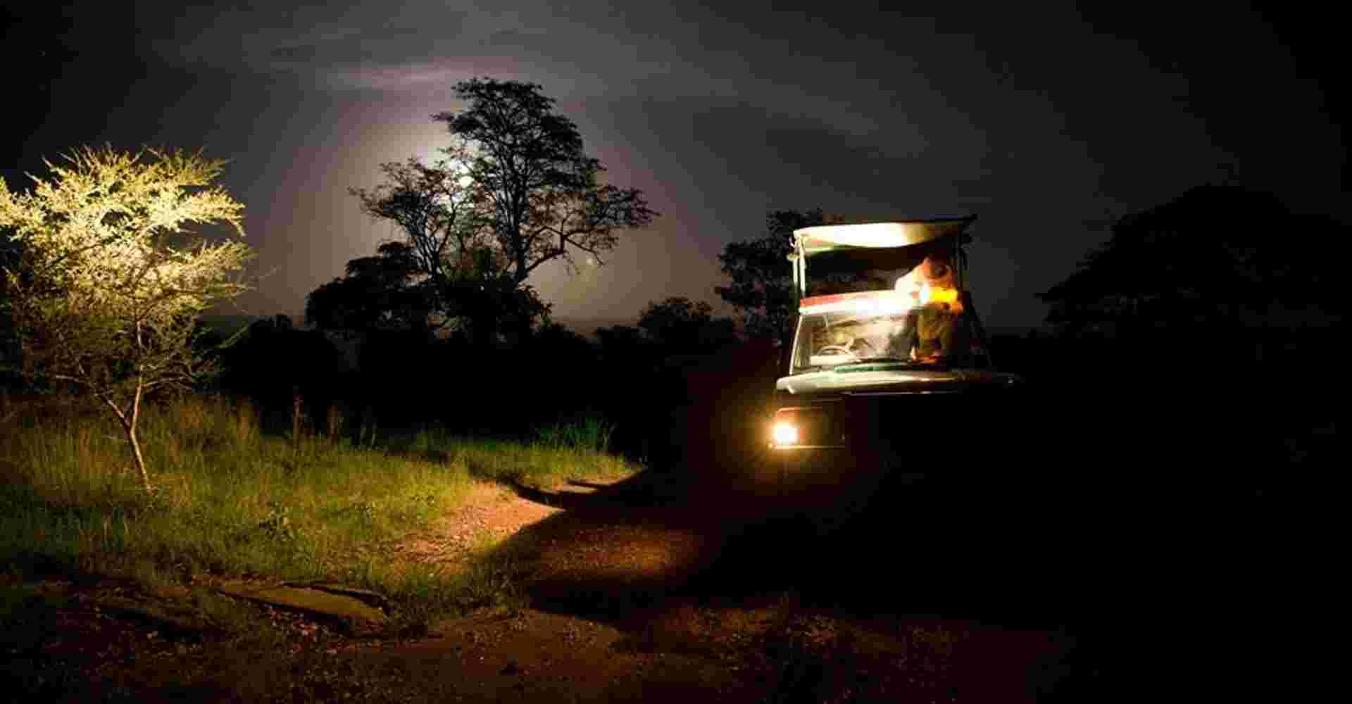 11 Days Complete Tanzania Safari Package Mwanza to Arusha