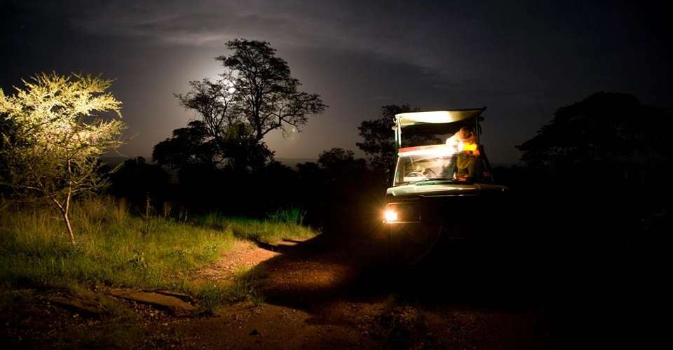 11 Days Complete Tanzania Safari Package Mwanza to Arusha - East African Safari And Touring Company - Tanzania - Image 1