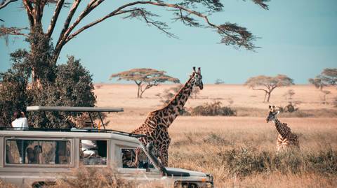 11 Days Hidden Safari Treasures Of Africa - February 2026