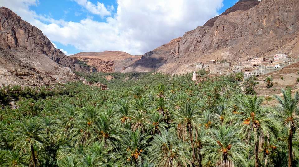 11 Days Tour from Marrakech - Sahara, Fes, & Chefchaouen - Guided Morocco Tours - Morocco - Image 6