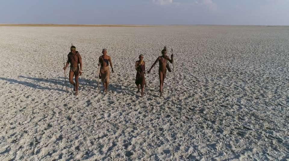 Okavango, Chobe & Victoria Falls: 12 Days - Dk Tours & Safaris - Tanzania - Image 3
