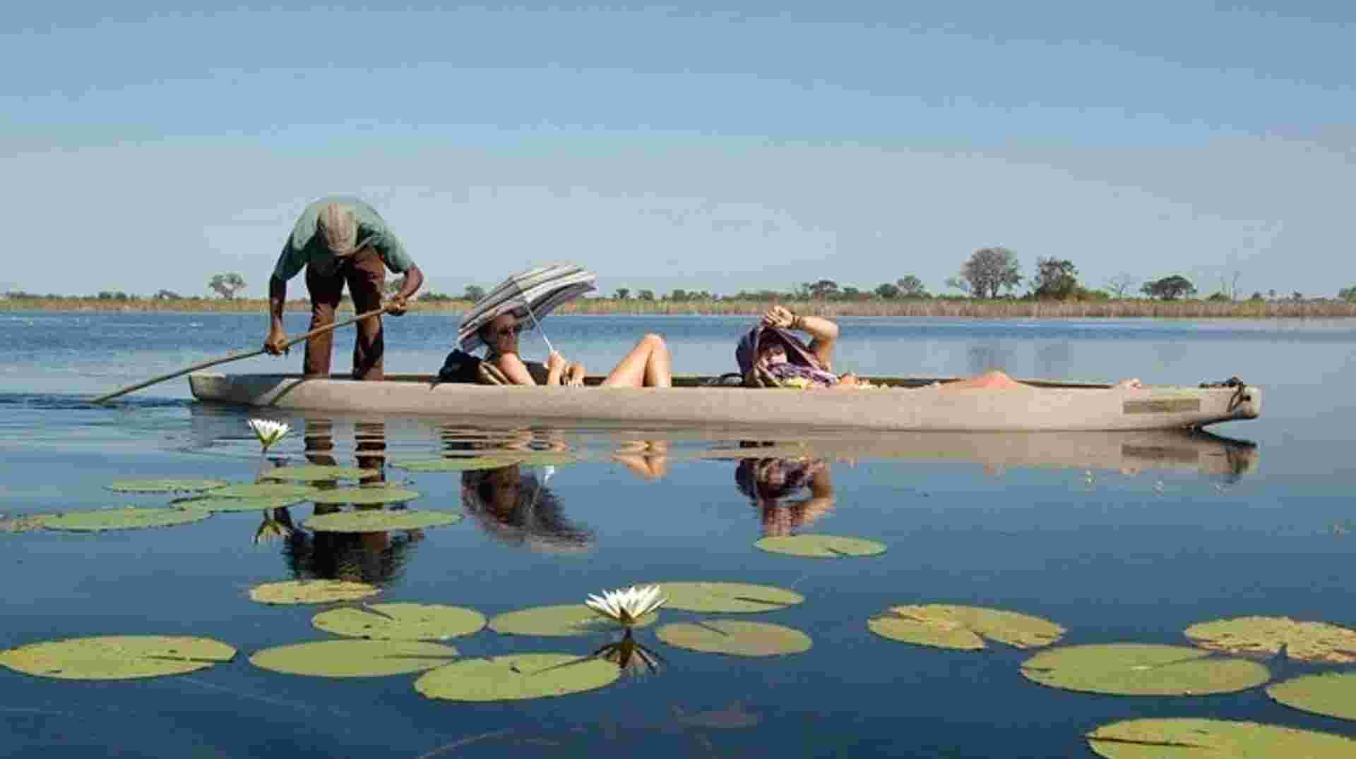 Okavango, Chobe & Victoria Falls: 12 Days