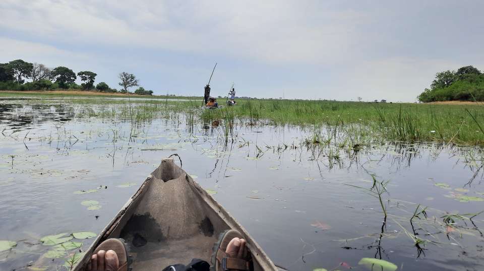 Okavango, Chobe & Victoria Falls: 12 Days - Dk Tours & Safaris - Tanzania - Image 4