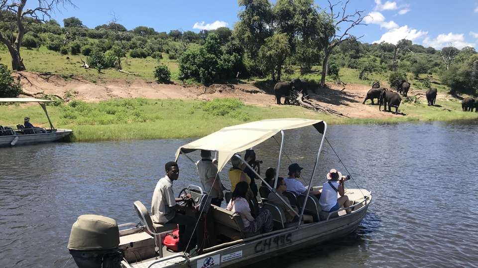 Okavango, Chobe & Victoria Falls: 12 Days - Dk Tours & Safaris - Tanzania - Image 9