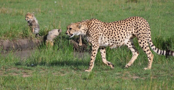 Image 2 of 6