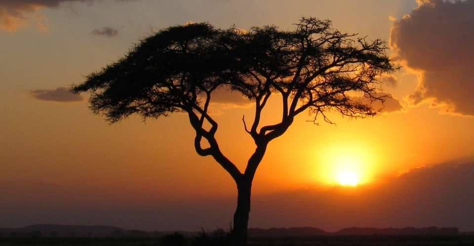 12-Days Best of Kenya Wildlife Safari - African Sermon Safaris - Kenya - Image 4