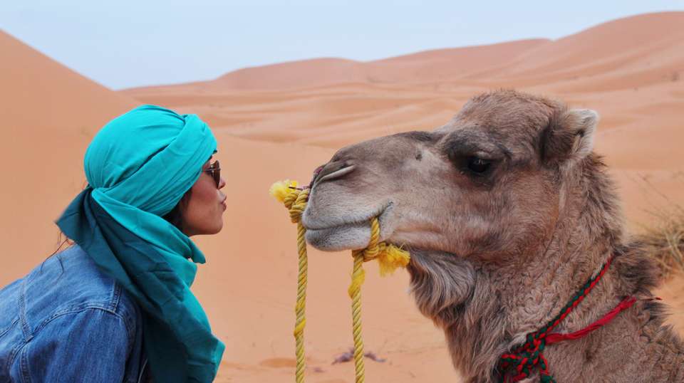 Twelve Day Morocco Tour From Casablanca - Guided Morocco Tours - Morocco - Image 3