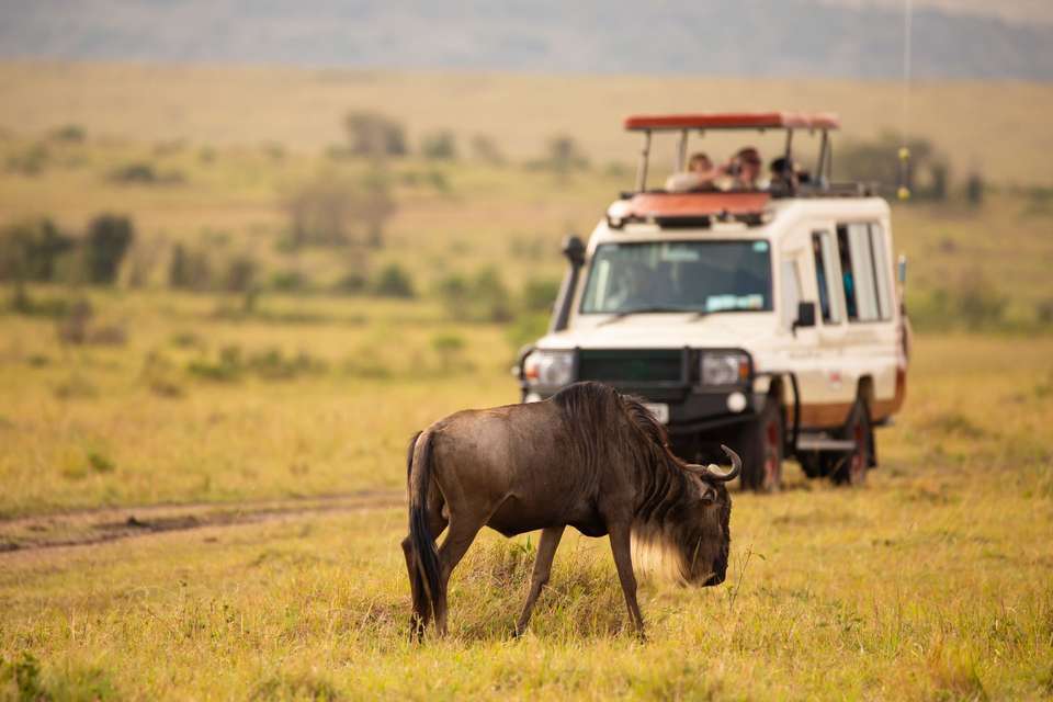 13-day Kenya Tanzania Adventure Accommodated - Acacia Africa - Kenya - Image 2