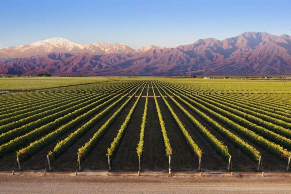 13-Day South America: Mountains & Beaches - Tangol Tours - Argentina - Image 5