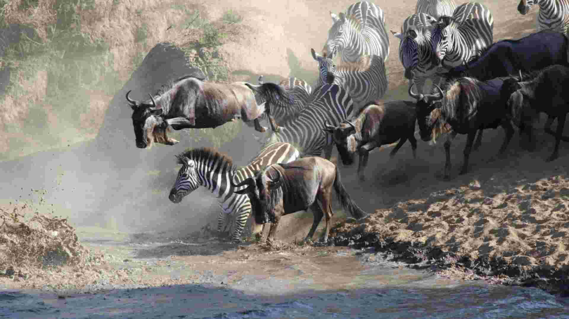 14-Day East Africa Honeymoon Safari