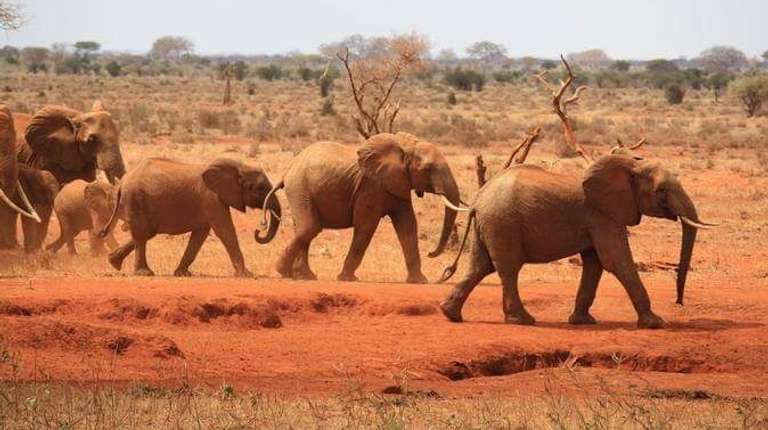 14 Day Legendary Expedition Safari
