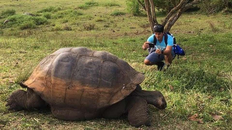 14 Day Trip: Galapagos & Machu Picchu - Latin Adventures - Ecuador - Image 3