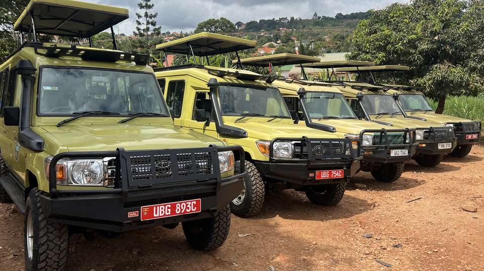 14 Day Ultimate Uganda Luxury Safari - Primate World Safaris (u) Ltd - Uganda - Image 11