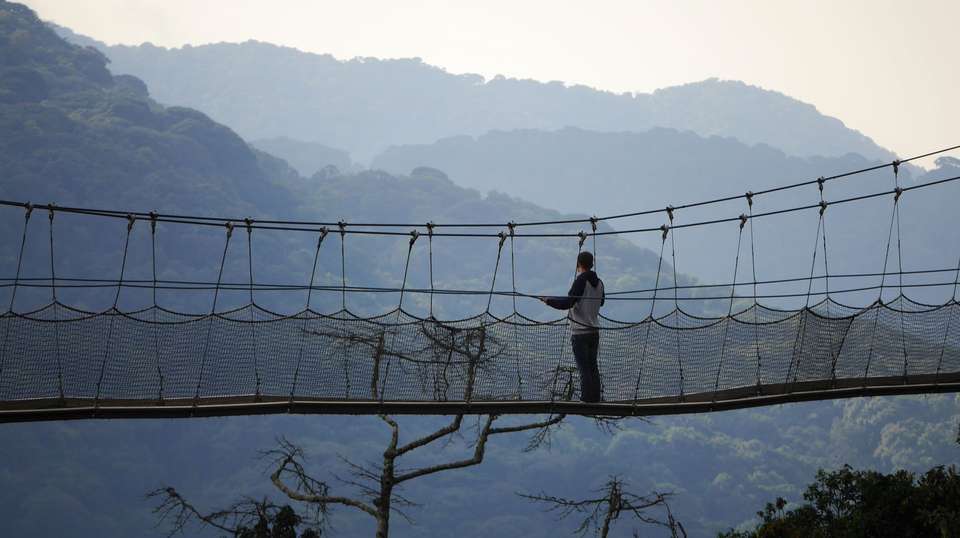 Rwanda Adventure: 14 Days - Rwanda Eco Company And Safaris - Rwanda - Image 2