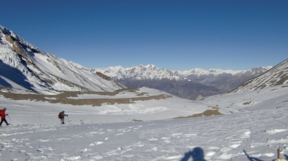 Image 3 of 5