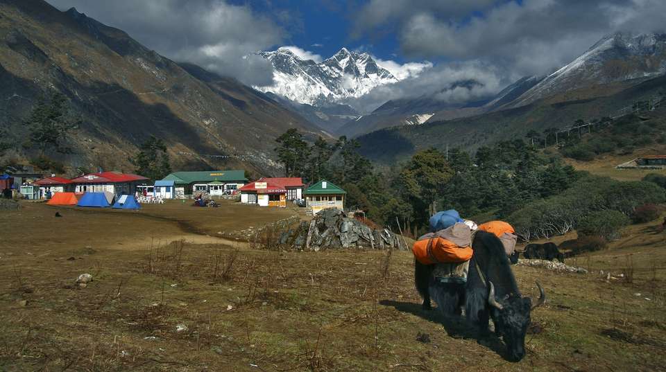 15 Days Gokyo- Chola Pass to Everest Base Camp  Trekking - Nepal Lion Tours And Treks Pvt Ltd - Nepal - Image 5