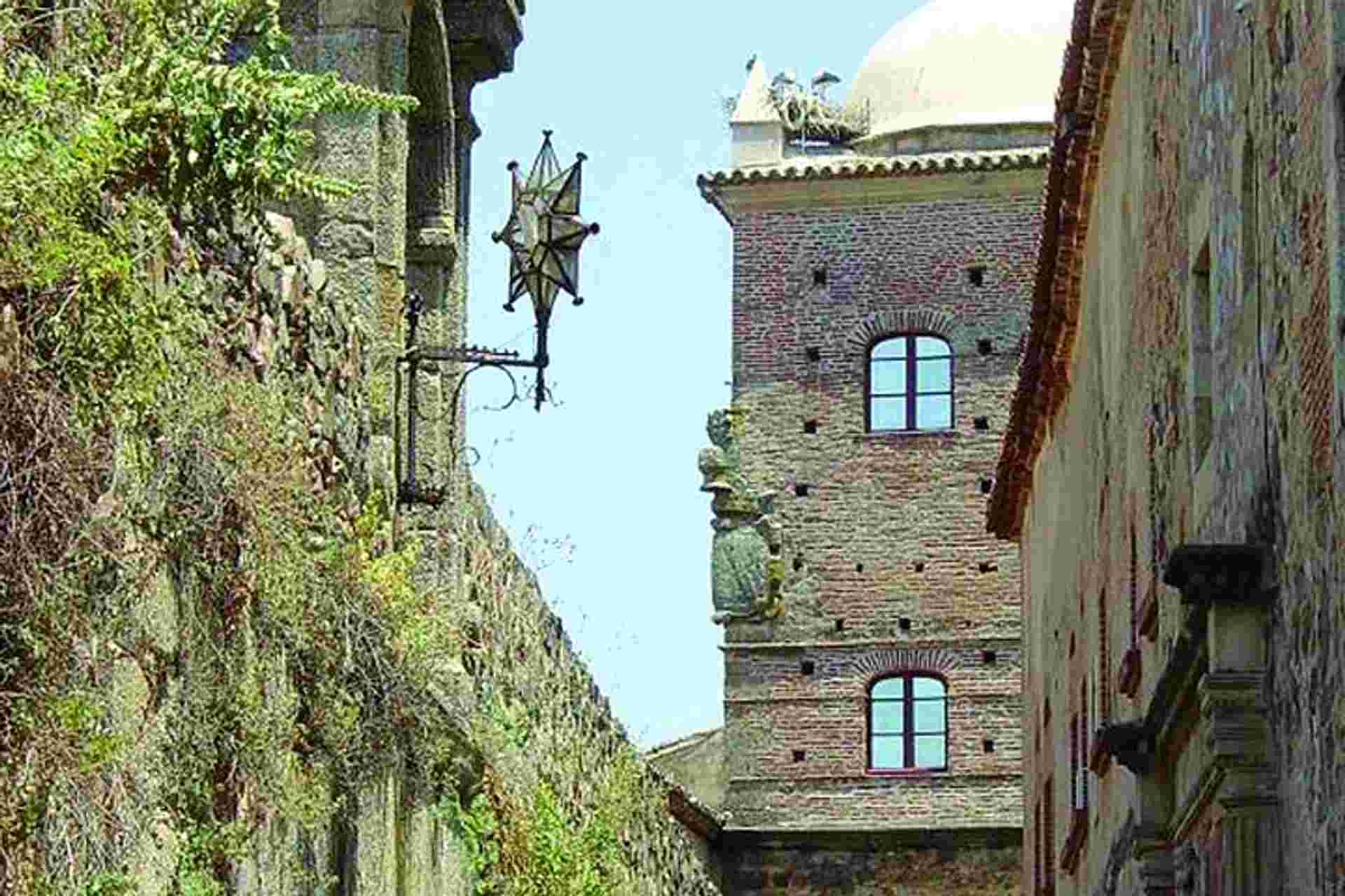 2-day Caceres And Seville From Madrid