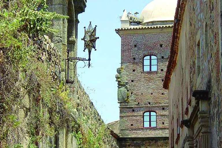2-day Caceres And Seville From Madrid trip - alternative tour available