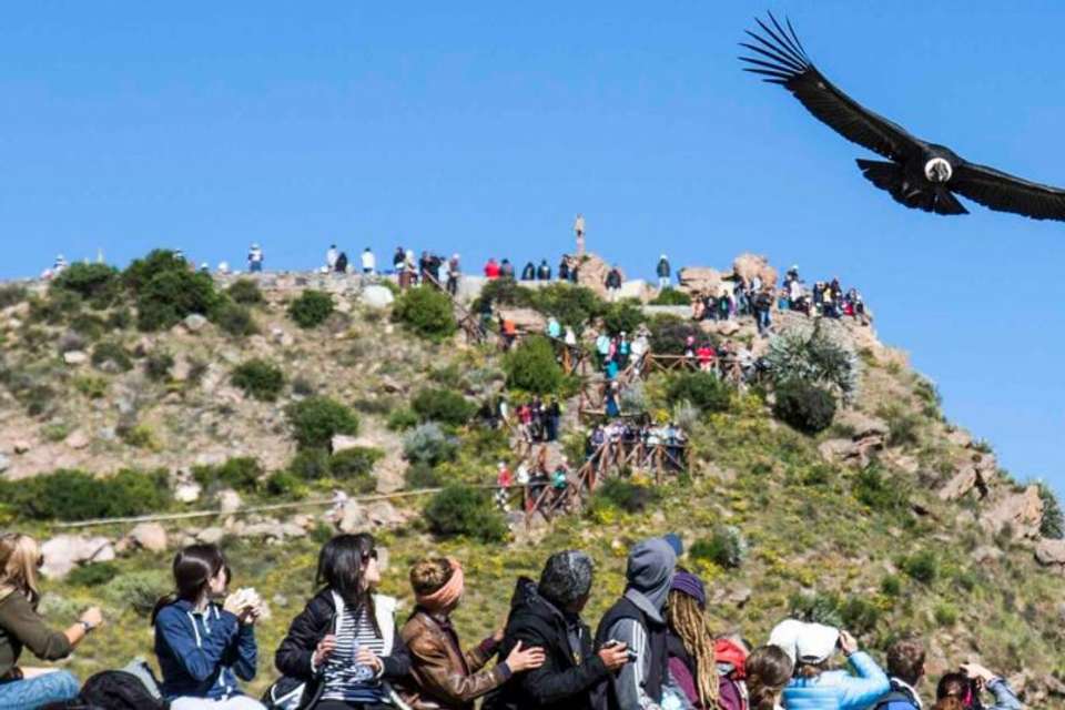 2-Day Colca Canyon Classic Tour - Coporaque - Tangol Tours - Peru - Image 6