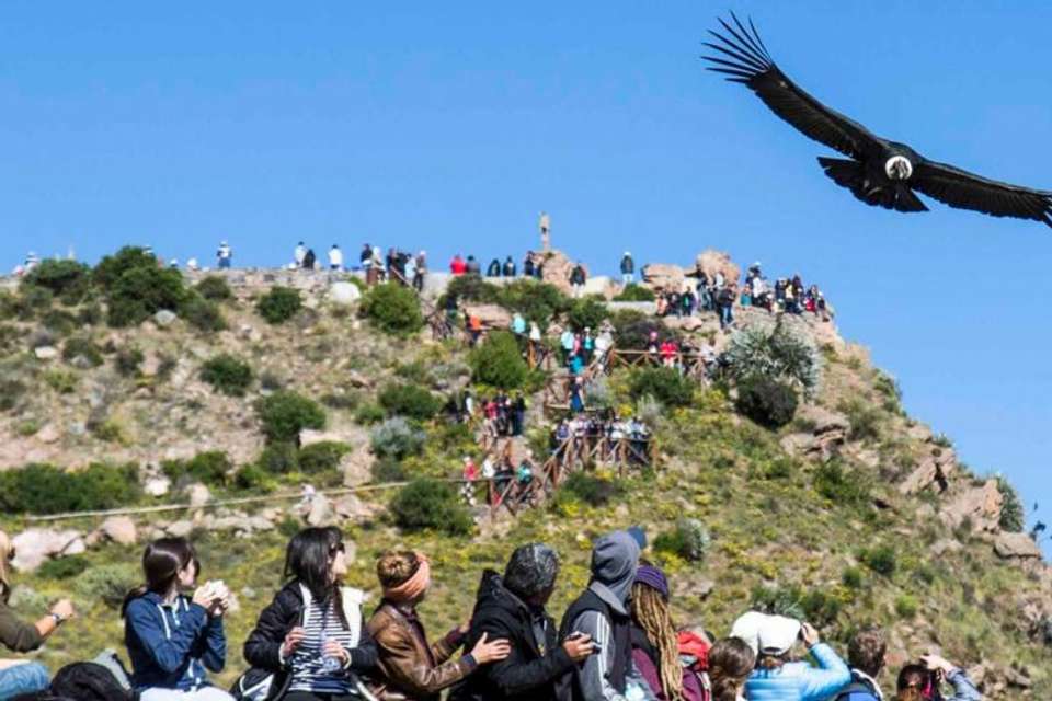 2-day Colca Canyon Classic Tour with transfer to Puno - Coporaque - Tangol Tours - Peru - Image 7