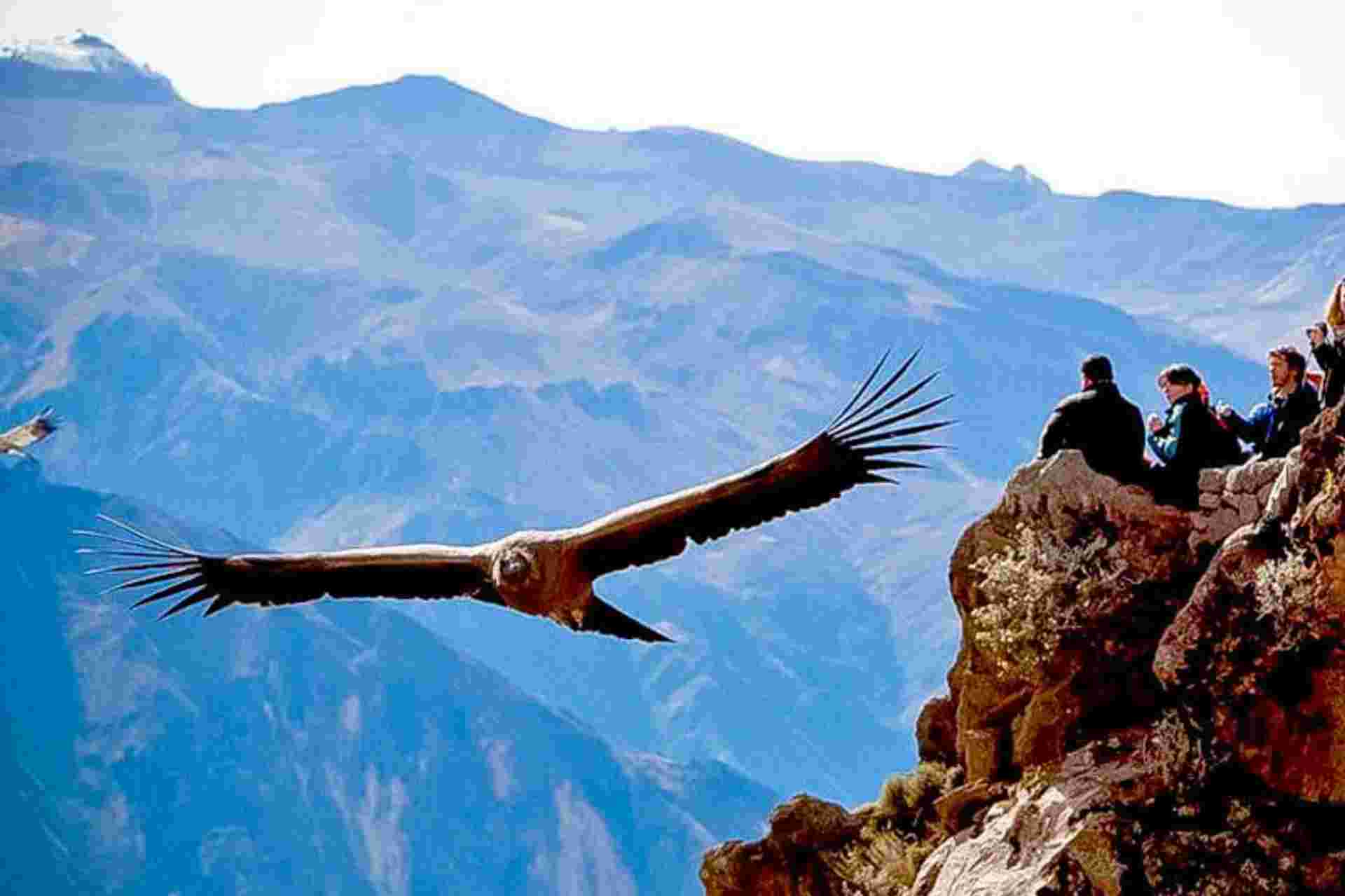 2-day Colca Canyon Classic Tour with transfer to Puno - Yanque
