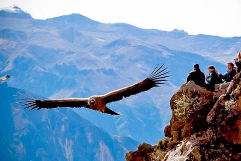 2-day Colca Canyon Classic Tour With Transfer To Puno - Yanque - 2 Days
