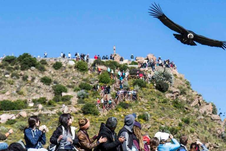 2-Day Colca Canyon Classic Tour - Yanque - 2 days