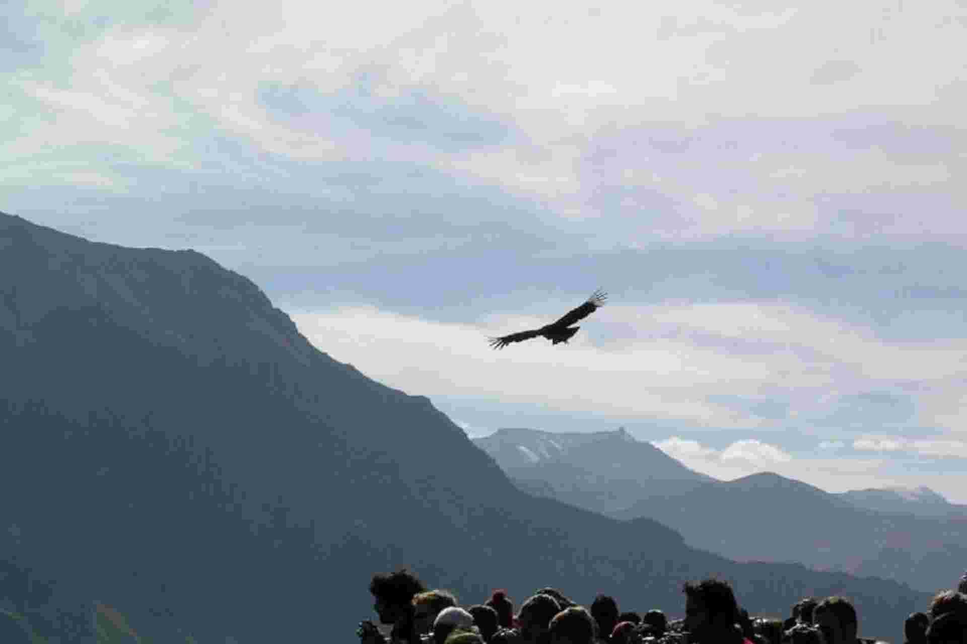 2-Day Colca Canyon Trek and transfer to Puno - Shared Room