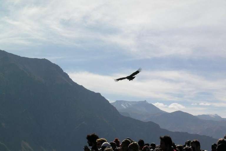 2-Day Colca Canyon Trek and transfer to Puno - Shared Room trip - alternative tour available