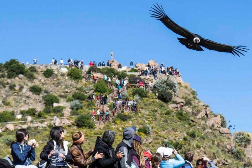 2-Day Colca Canyon Trek & Trf Puno - Private Room - Tra/Gui - Tangol Tours - Peru - Image 5