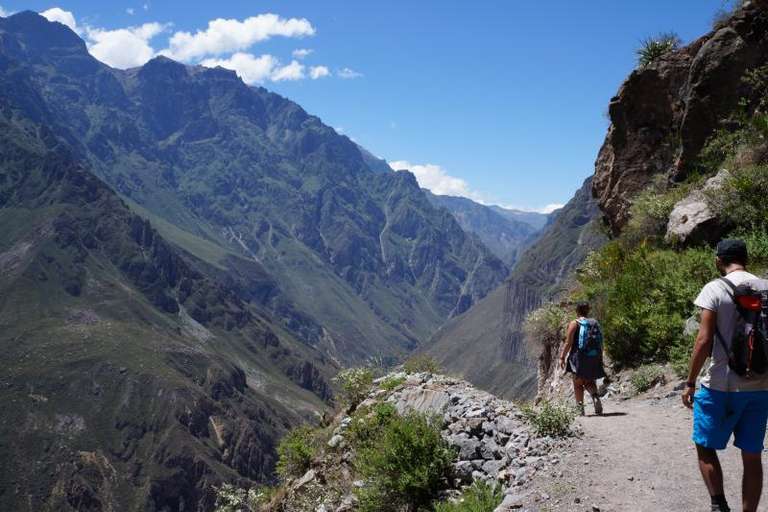 2-Day Colca Canyon Trek & Trf Puno - Shared Room - Only Transportation/Guide trip - alternative tour available