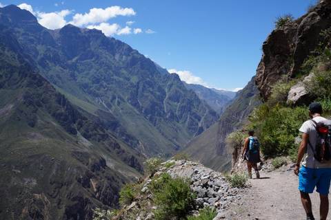2-day Colca Canyon Trek & Trf Puno - Shared Room - Only Transportation/guide - February 2026
