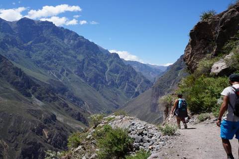2-day Colca Canyon Trek - Shared Room - Transp/guide - December 2025
