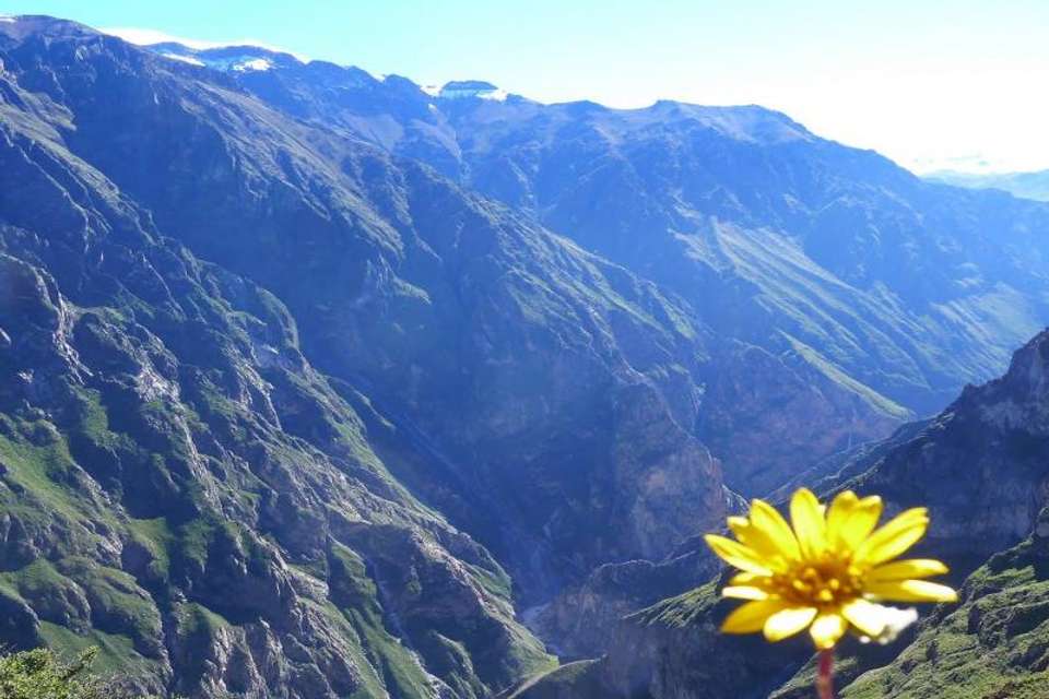 2-Day Colca Canyon Trek - Shared Room - Transp/Guide - Tangol Tours - Peru - Image 4