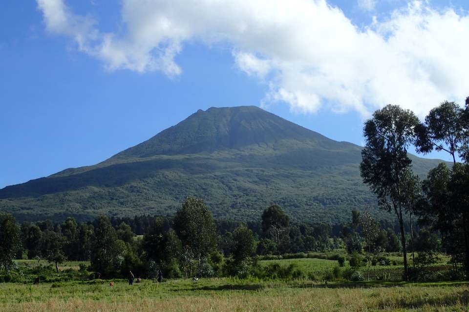 2-Day Gorilla & Golden Monkey Trekking Safari - Kingfisher Journeys - Rwanda - Image 2