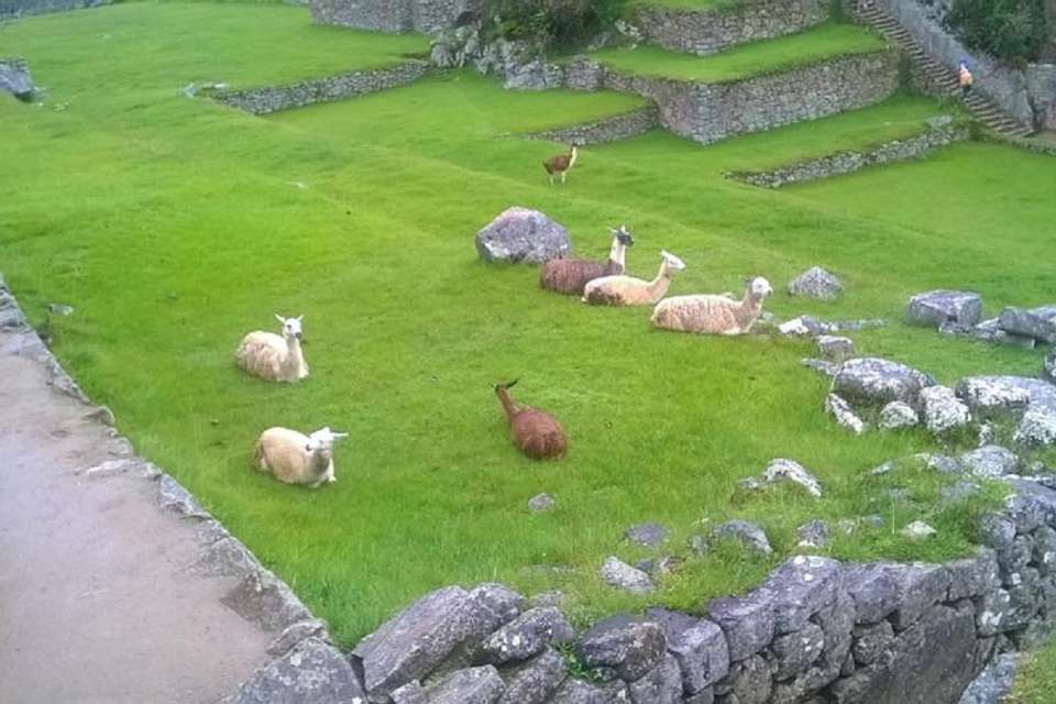 2-Day Inca Trail to Machu Picchu from Cusco - Tangol Tours - Peru - Image 2