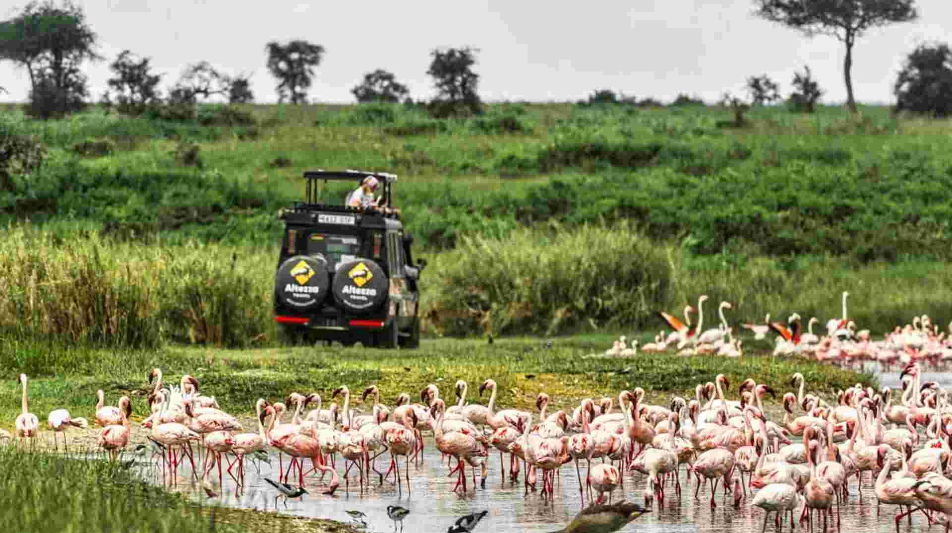 2-Day Lake Manyara & Ngorongoro Safari Tour